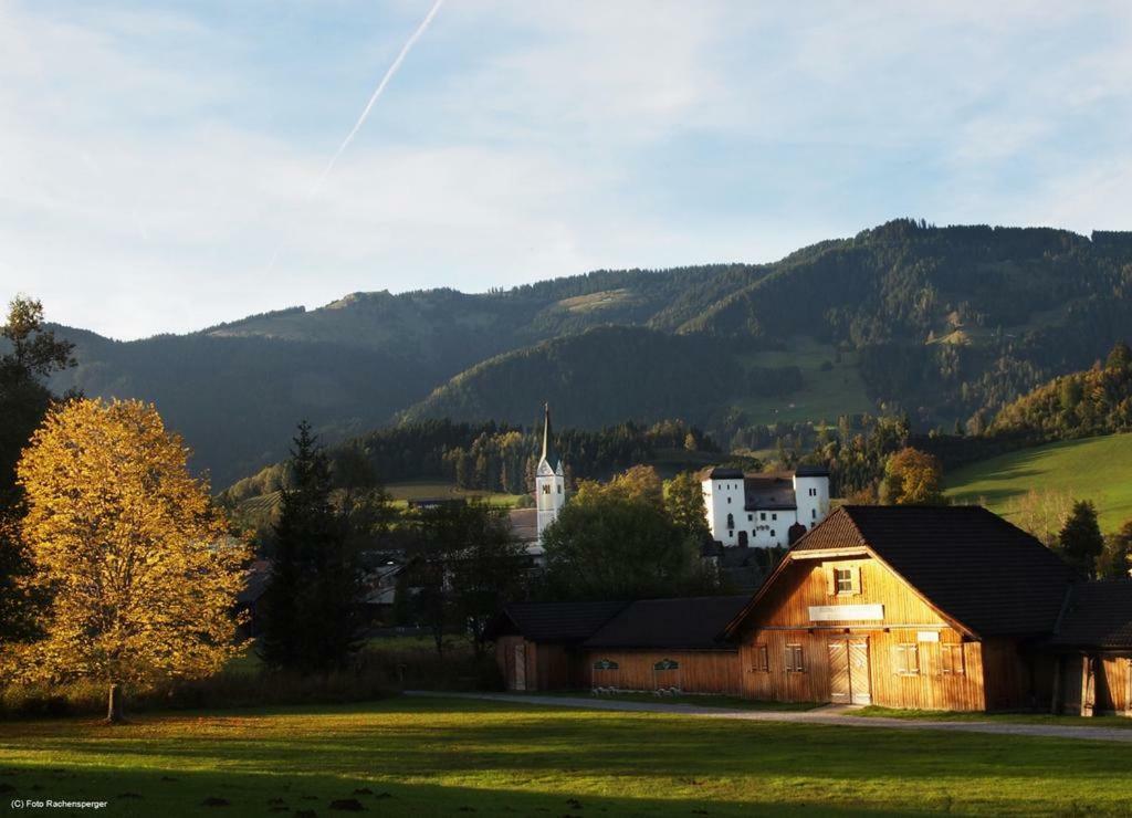 Biobergbauernhof Bergzeit Apartment In Goldegg Esterno foto