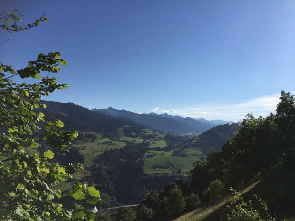 Biobergbauernhof Bergzeit Apartment In Goldegg Esterno foto