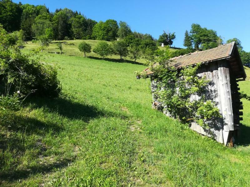 Biobergbauernhof Bergzeit Apartment In Goldegg Esterno foto